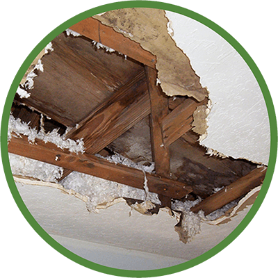 Damaged Roof